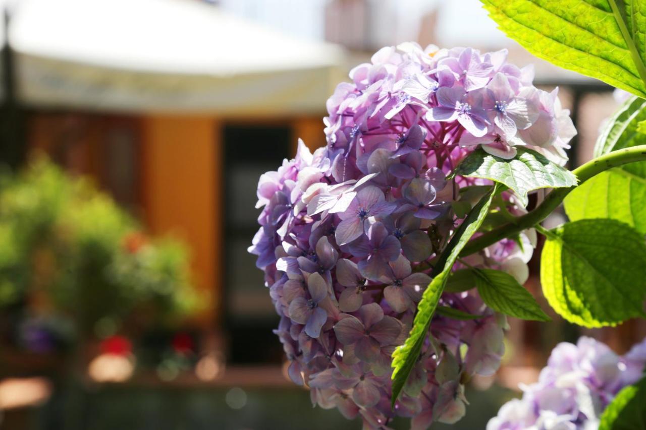 Casa Rosaria Amalfi Coast Bed & Breakfast Vietri Екстериор снимка
